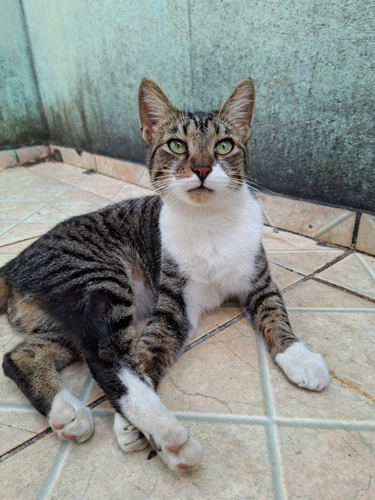 Pirulito