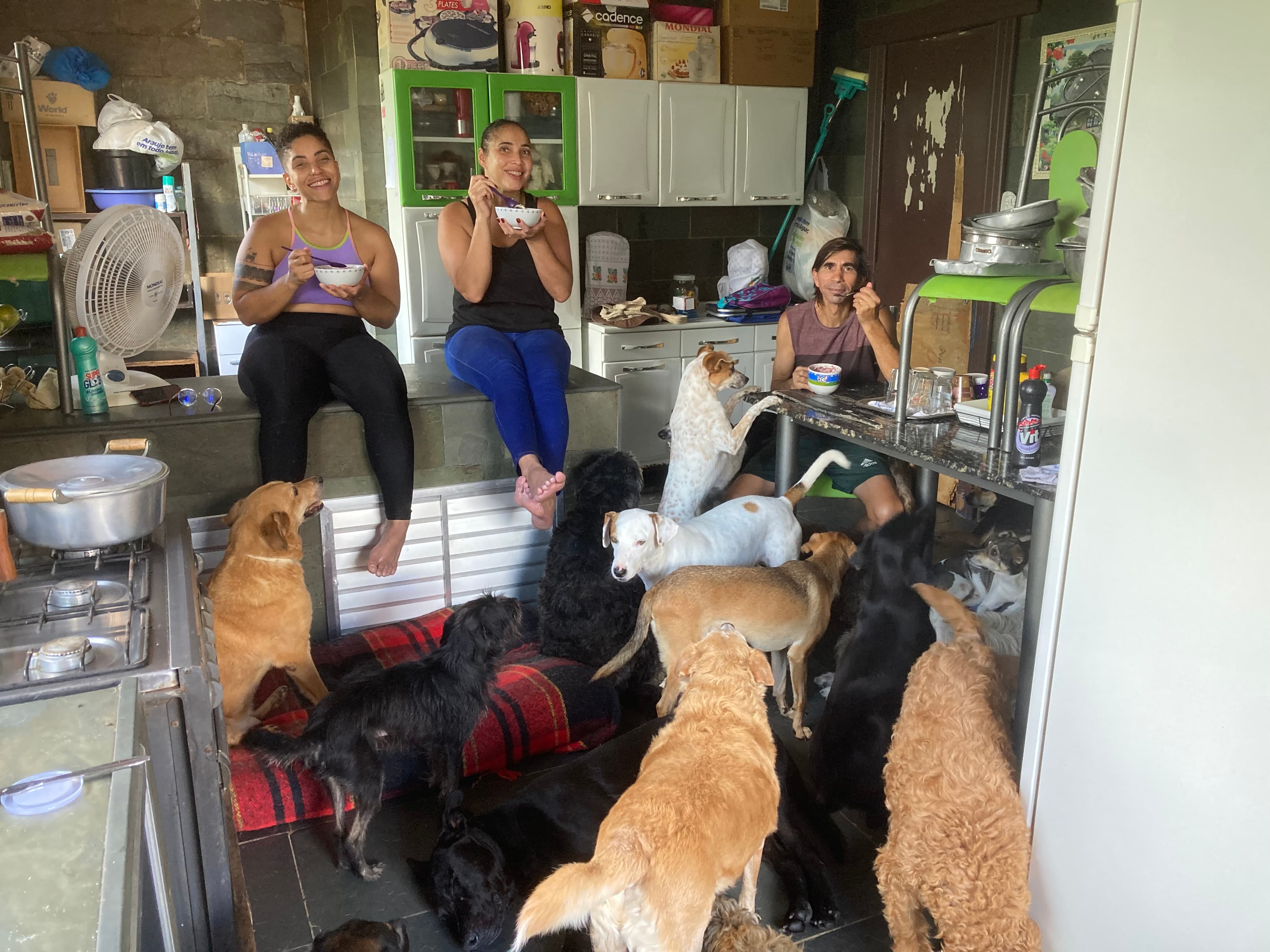 Refúgio Benjamin Amor de Quatro Patas 4