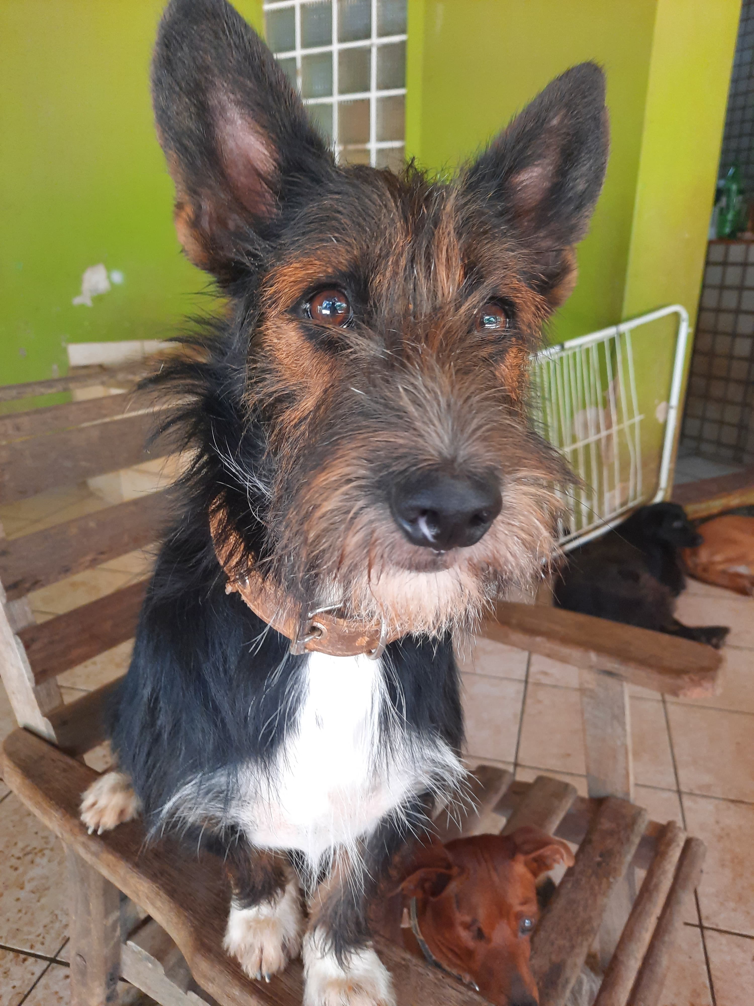 Contratação de mão de obra para adequar o novo local