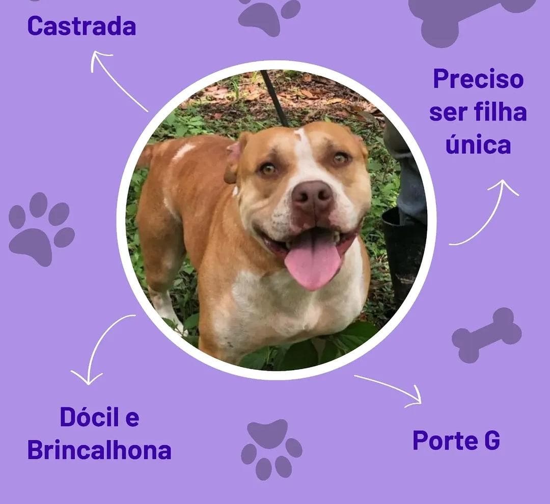 Carminha