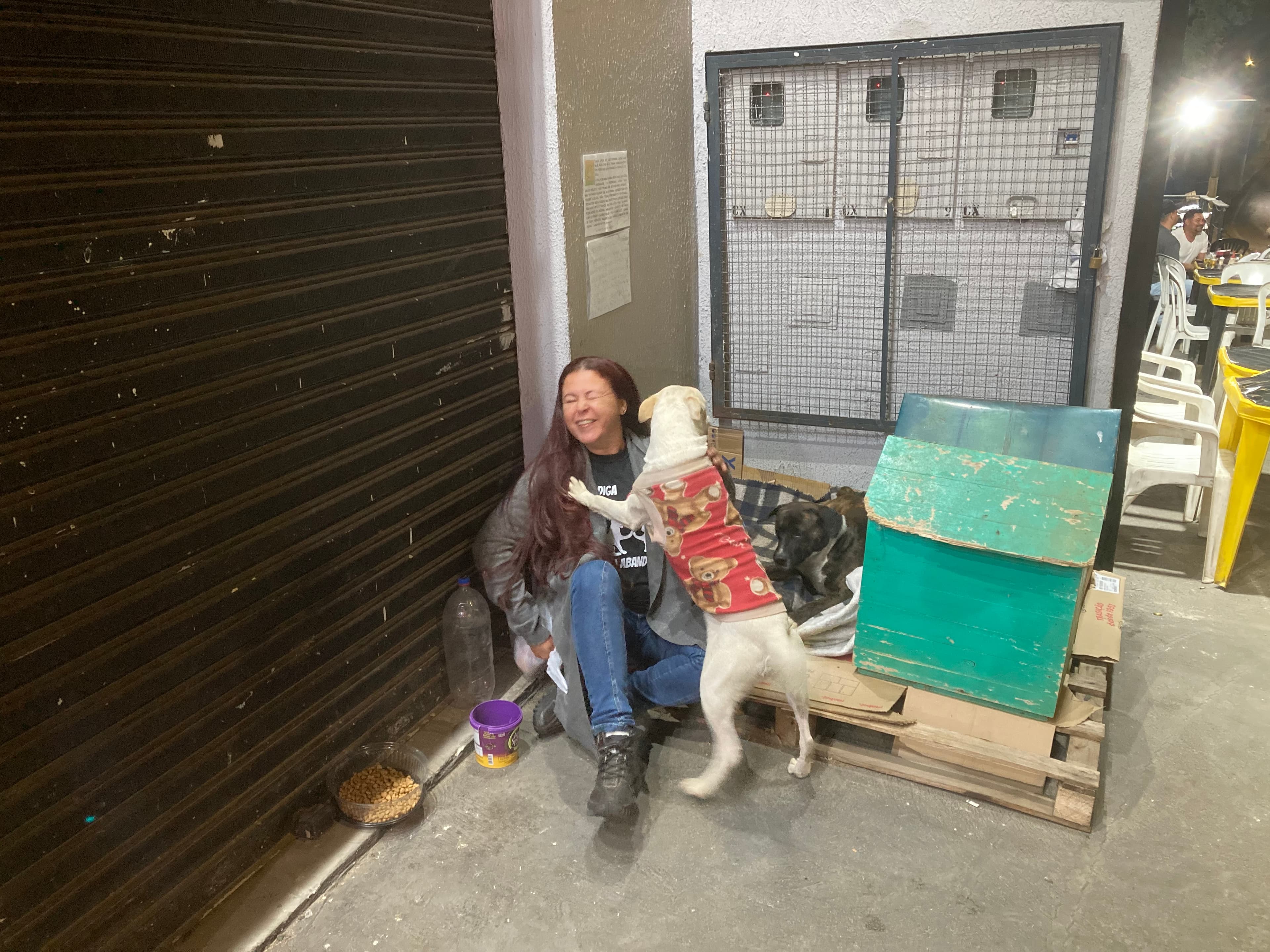 Refúgio Benjamin Amor de Quatro Patas 8