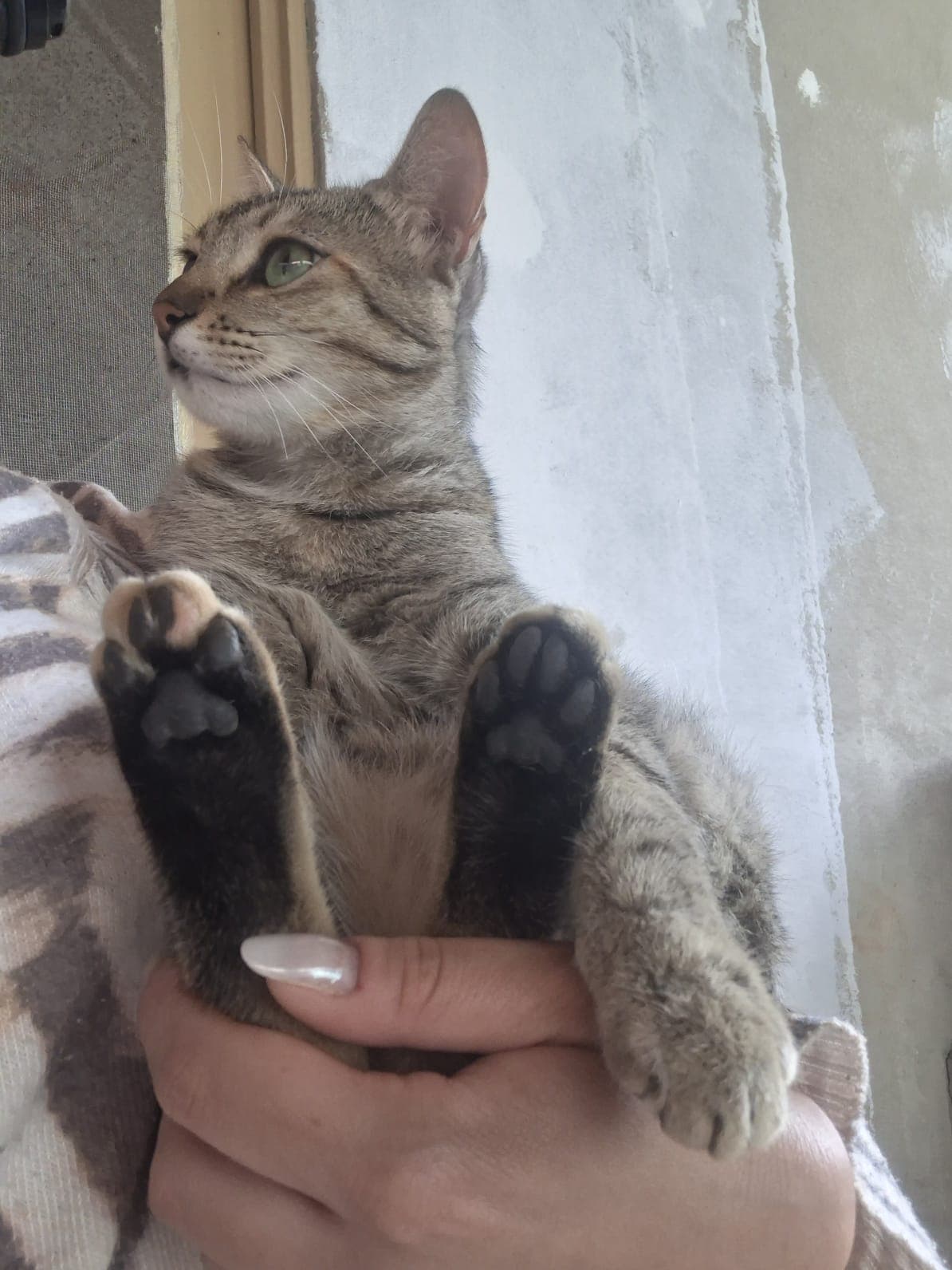 Paçoca