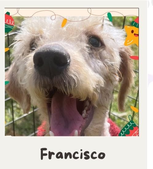Francisco