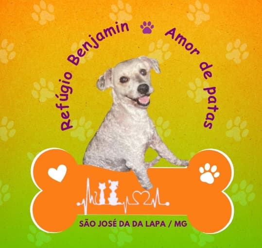 Refúgio Benjamin Amor de Quatro Patas