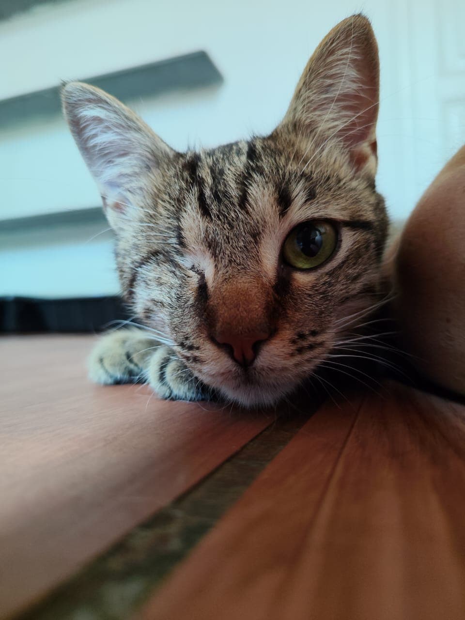 Miguel