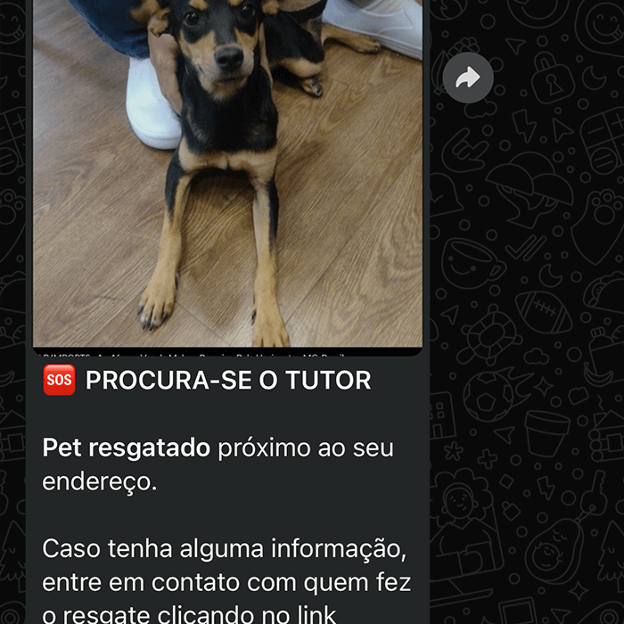 Endereço para alerta