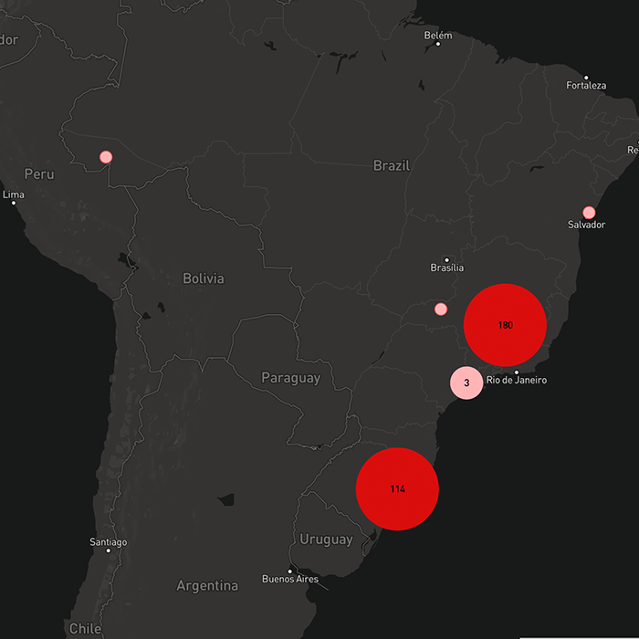 Mapa com os pets resgatados